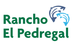 Rancho El Pedregal